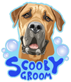 Scooby Groom