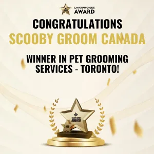 Canadian Choice Award winner in pet grooming services, Toronto